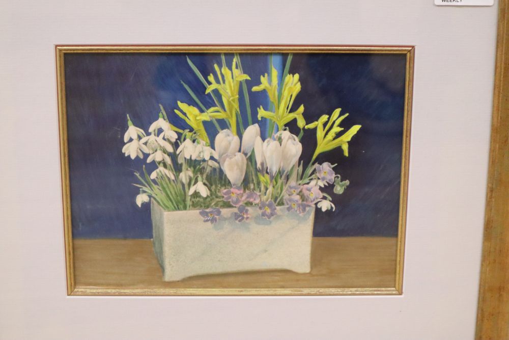 Marian Tumelty VPRMS (Contemporary), Still life of plums on a branch, signed and dated 92, and another watercolour